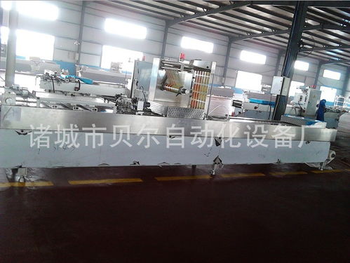 选择诸城市贝尔自动化设备厂LZ420气调包装机 十六年品质保障，终身无忧