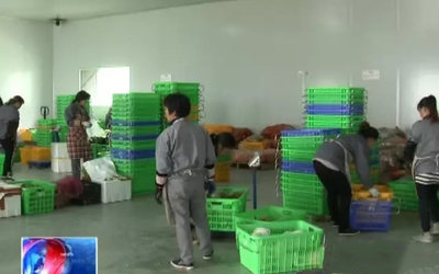 订单农业助力蔬菜产业，郎岱农业产业园区的豆制品销售与学生营养及农民增收探索